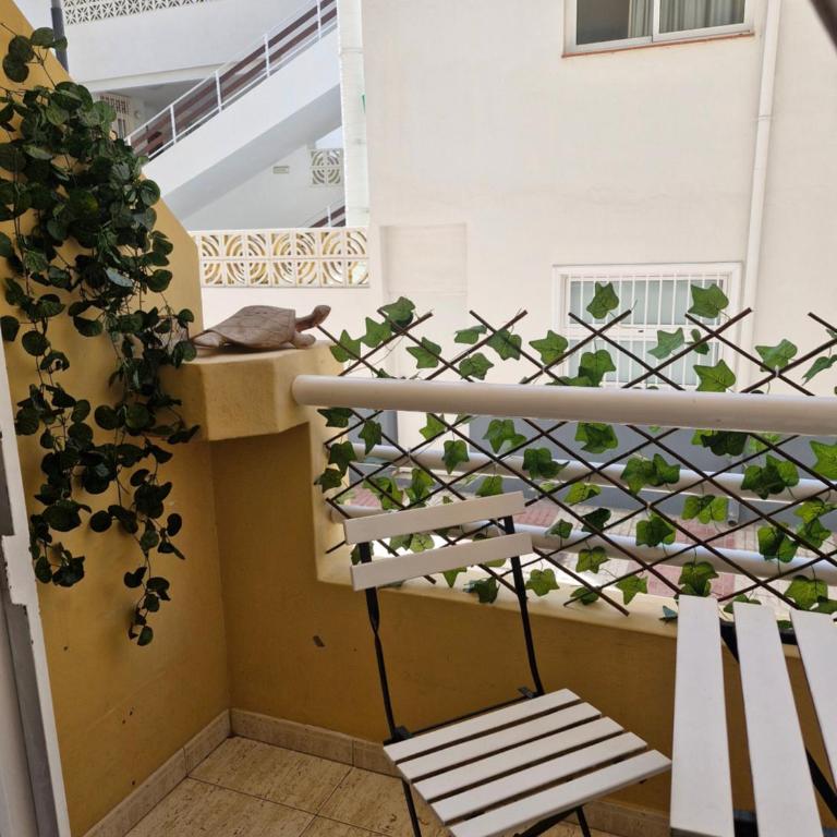 Centric beach front appartment - One-Bedroom Apartment - 12
