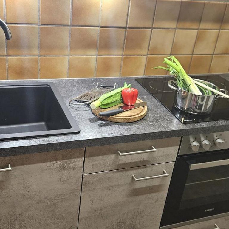 Chasa Plavna - Apartment mit 1 Schlafzimmer - 13