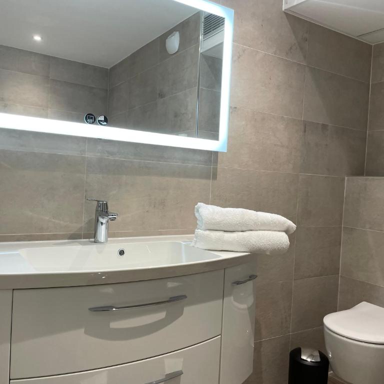 Brit Hotel de Grignan Vichy - Appartement Deluxe - 13