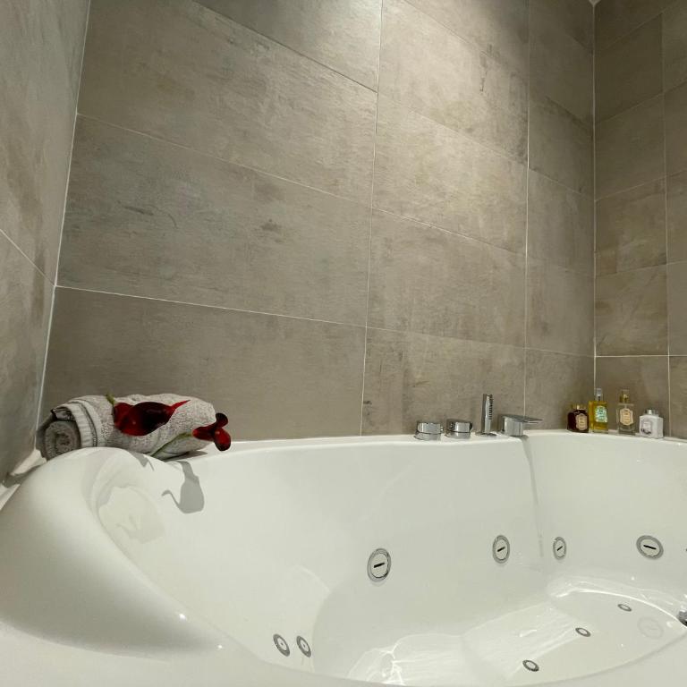 Brit Hotel de Grignan Vichy - Appartement Deluxe - 2