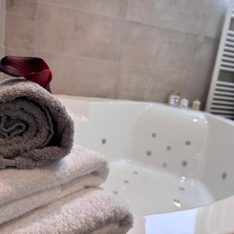 Brit Hotel de Grignan Vichy - Appartement Deluxe - 4