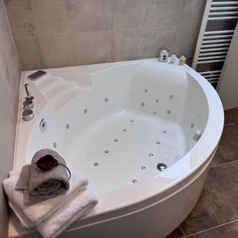 Brit Hotel de Grignan Vichy - Appartement Deluxe - 19