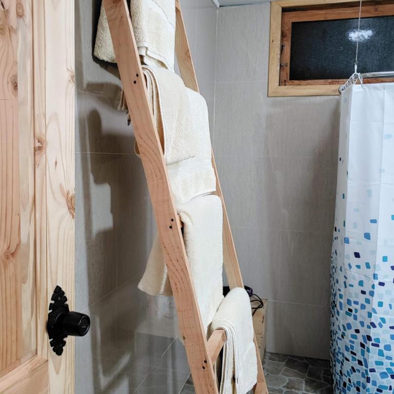Cabañas Futrono - Apartamento de 2 dormitorios - 18