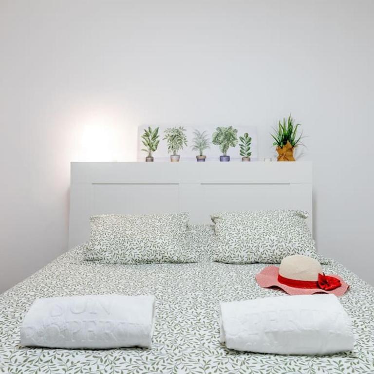 Carolina 8 - Two-Bedroom Apartment - 14