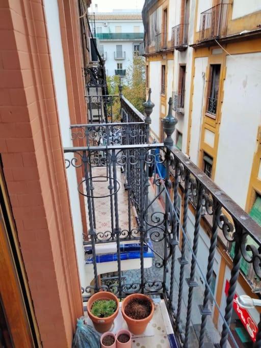 Apartamento El Prado - One-Bedroom Apartment - 10