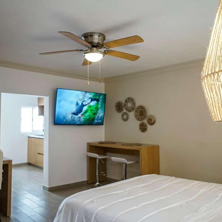 Modern Apartment with Home Office in Prime Location - Apartment - 13