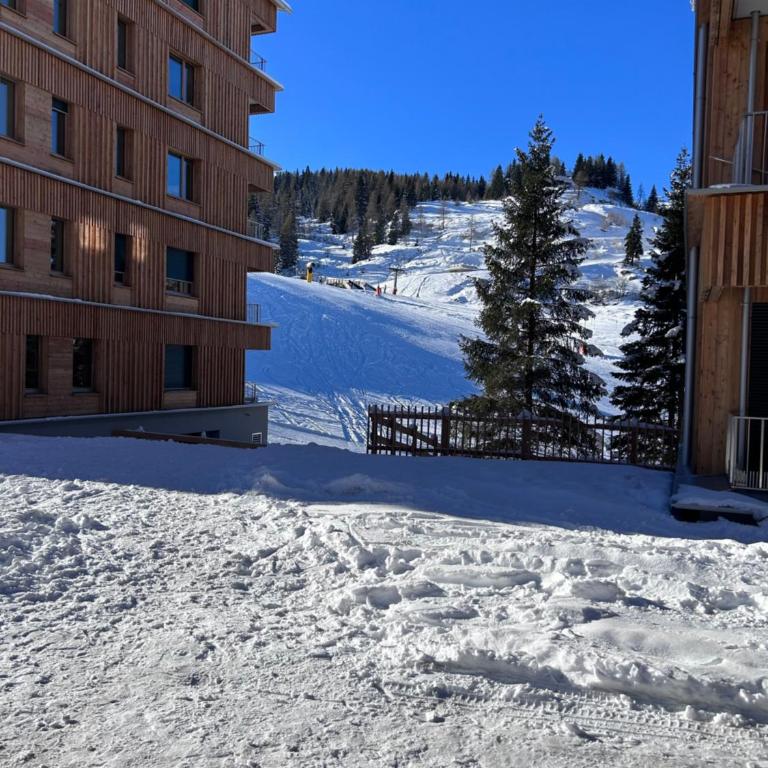 Almappartement Nassfeld- Sonnenalpe - Apartment mit 1 Schlafzimmer - 31