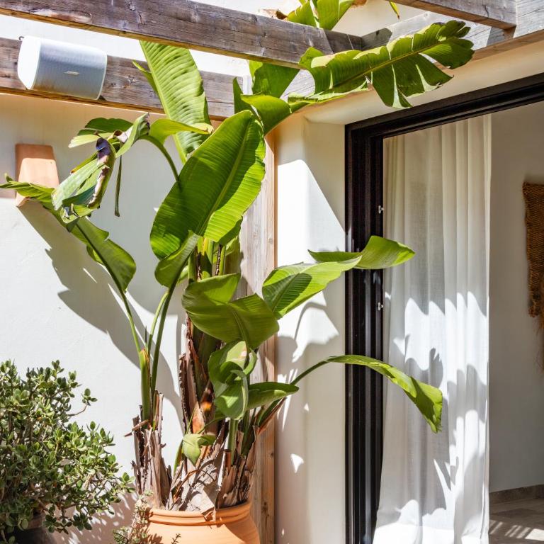 Ca Jardi, Luxury Ibiza-Style villa with private pool, Javea - Villa de 3 dormitorios - 55