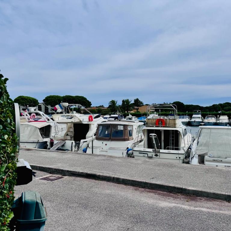 RDJ 4 Pers Piscine proche mer au Jean BART - Appartamento con 1 Camera da Letto - 14