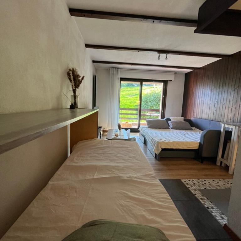 Cosy studio dans le domaine skiable des Portes du Soleil à Torgon - Studio-Apartment mit Balkon - 6