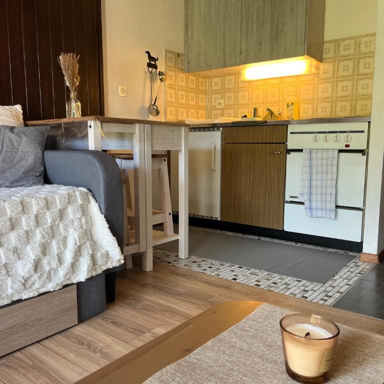 Cosy studio dans le domaine skiable des Portes du Soleil à Torgon - Studio-Apartment mit Balkon - 9
