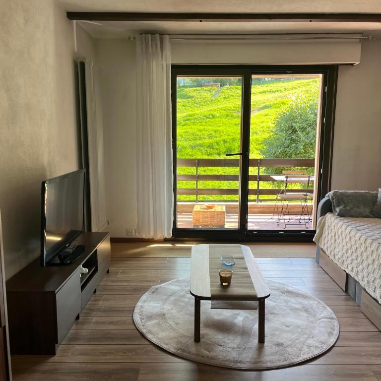 Cosy studio dans le domaine skiable des Portes du Soleil à Torgon - Studio-Apartment mit Balkon - 10