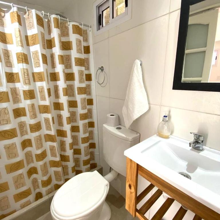Depto semicéntrico en Tandil con amplio patio verde y parrilla! - Apartamento de 1 dormitorio - 4