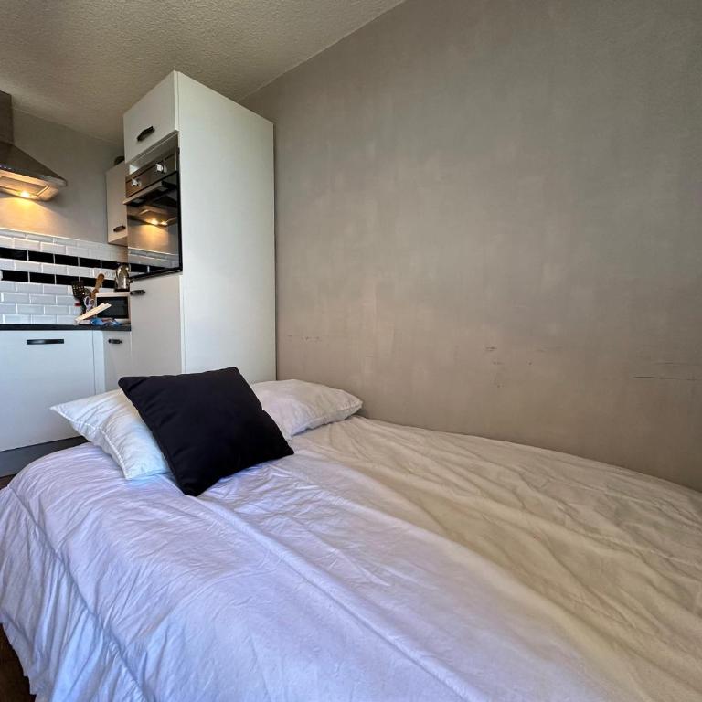 Studio cosy aux pieds des pistes, vue splendide - FR-1-624-53 - Studio - 10