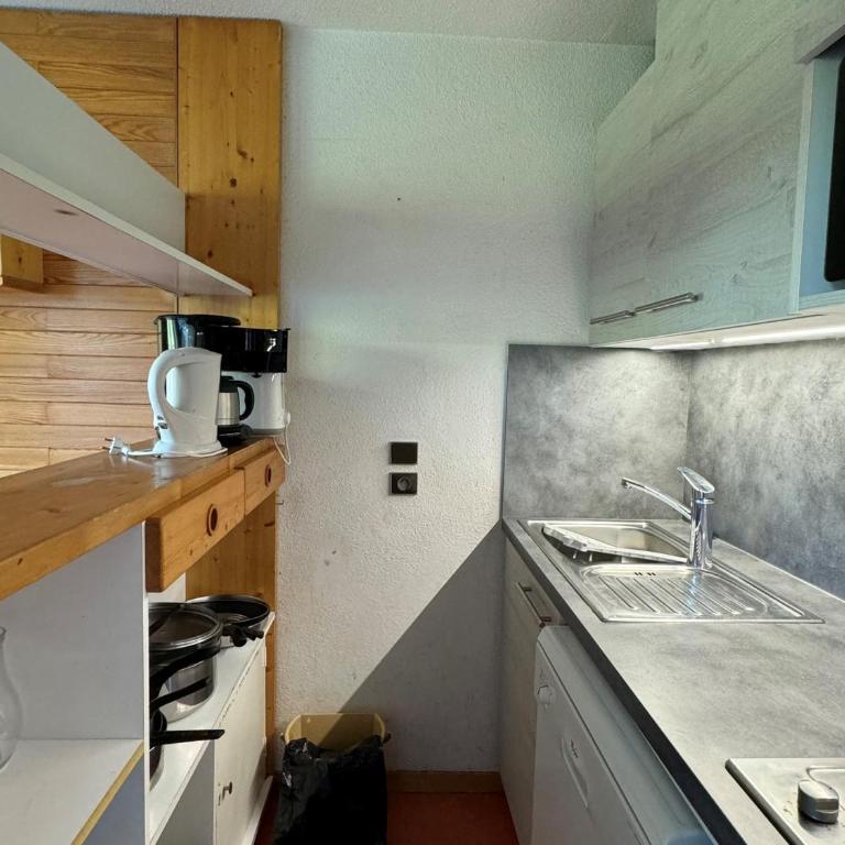 Appartement avec balcon et accès direct pistes, animaux admis - Appartement 1 Chambre - 12