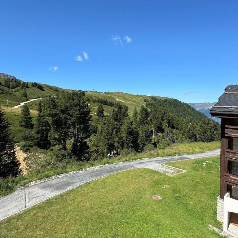 Appartement avec balcon et accès direct pistes, animaux admis - Appartement 1 Chambre - 14