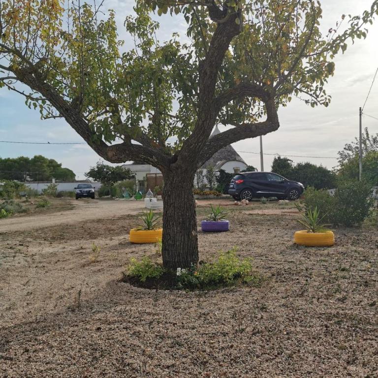 Trullo Trilli Puglia - Casa con 1 Camera da Letto - 53