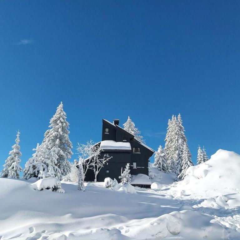 Chalet Avoriaz 12 pers, skis aux pieds, cheminée, terrasse sud - FR-1-633-33 - Chalet (12 Adultes) - 12