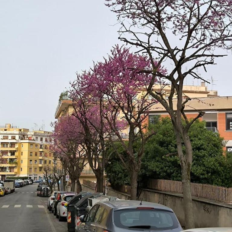 New and beautiful house in the heart of Rome - Appartement 1 Chambre - 28