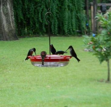 Las Acacias - Posada de Campo - Double Room - 3
