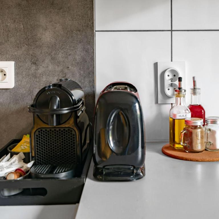 Le Vizier - Appartement design avec parking en centre ville - Appartement 1 Chambre - 18