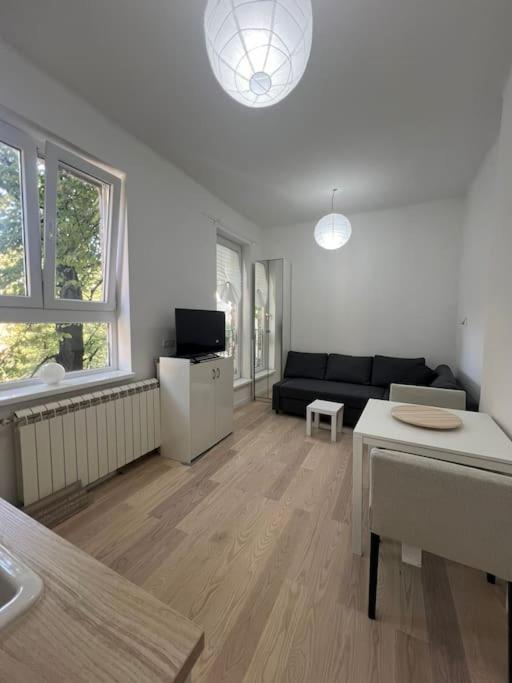 Kopernikova Studio - Apartman sa 1 Spavaćom Sobom - 4