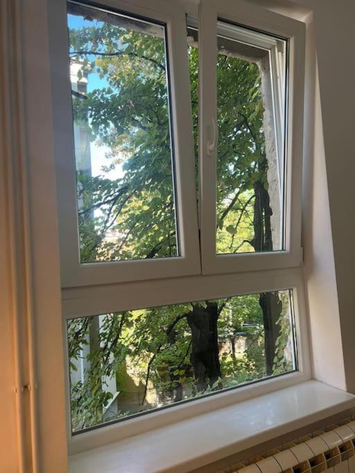 Kopernikova Studio - Apartman sa 1 Spavaćom Sobom - 5