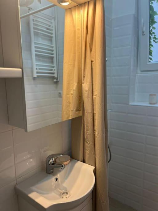 Kopernikova Studio - Apartman sa 1 Spavaćom Sobom - 7