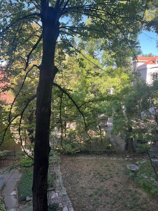 Kopernikova Studio - Apartman sa 1 Spavaćom Sobom - 15