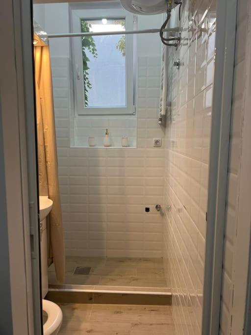 Kopernikova Studio - Apartman sa 1 Spavaćom Sobom - 20