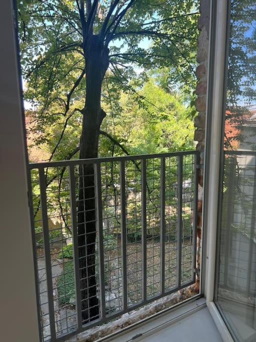 Kopernikova Studio - Apartman sa 1 Spavaćom Sobom - 21