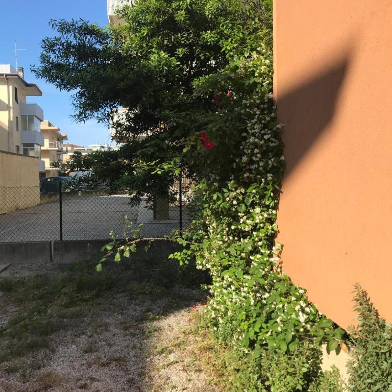 Monolocale a Grado - Monolocale Standard - 4