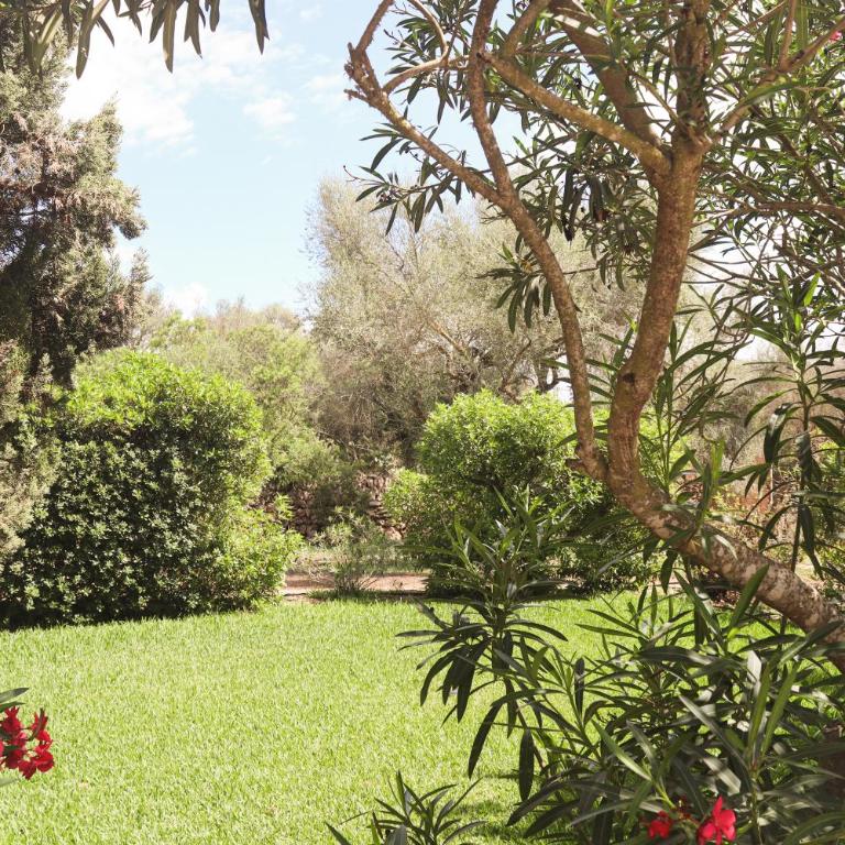 Finca Amapola - Agrotourismus - Suite con piscina privada - 5
