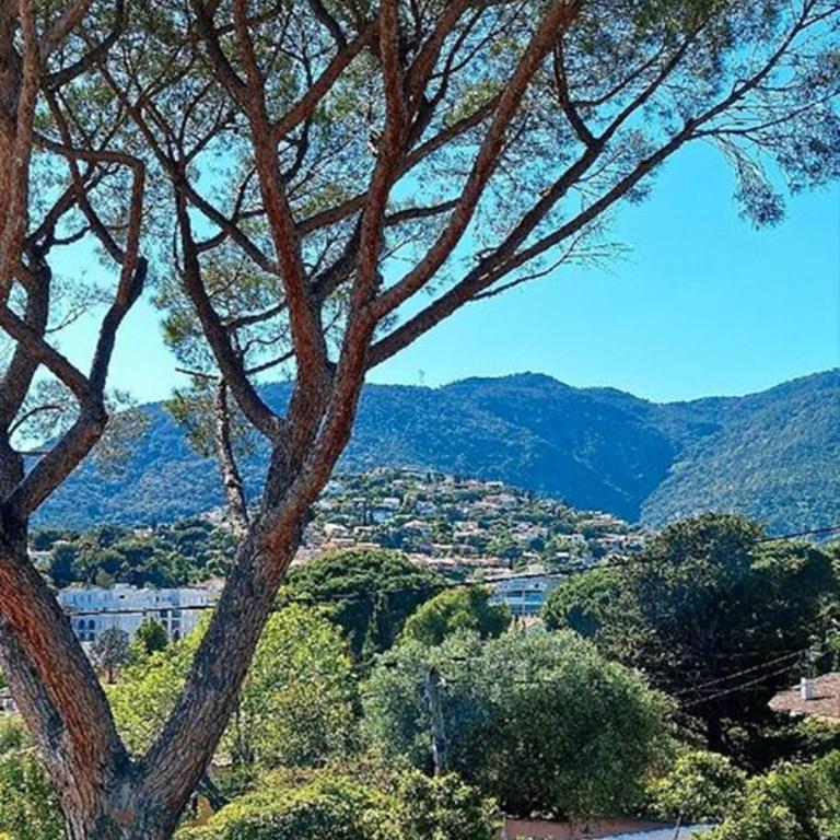 Bel Appartement climatisé à 500m des plages de sable et des commerces - Appartement 1 Chambre avec Terrasse - 17