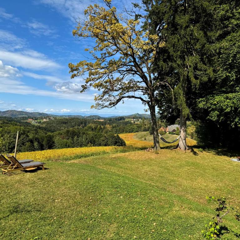 Ferienhaus Panorama - Gamlitz - Casa con 2 Camere da Letto - 16