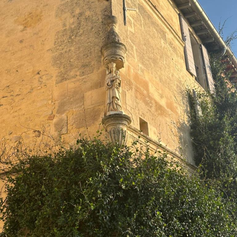 Maison charmante au bord du Rhône. - Maison 1 Chambre - 6