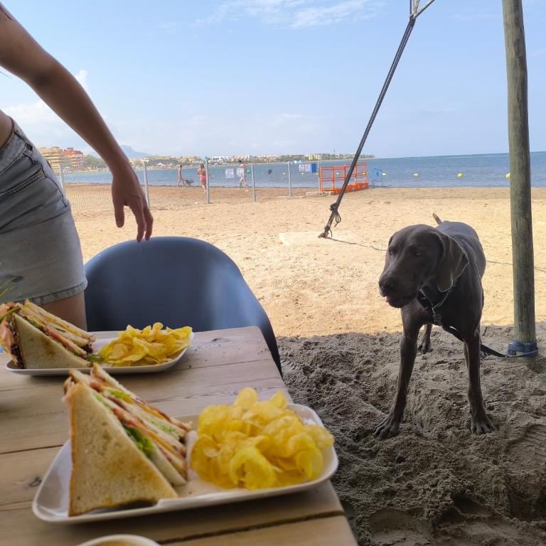 La Sirenita N Casa Adosada a 100 m de la playa con arena fina - Casa de 2 dormitorios - 18