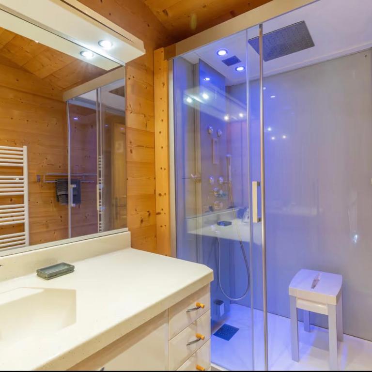 Chalet Coelacanthe - Chalet Superior - 19