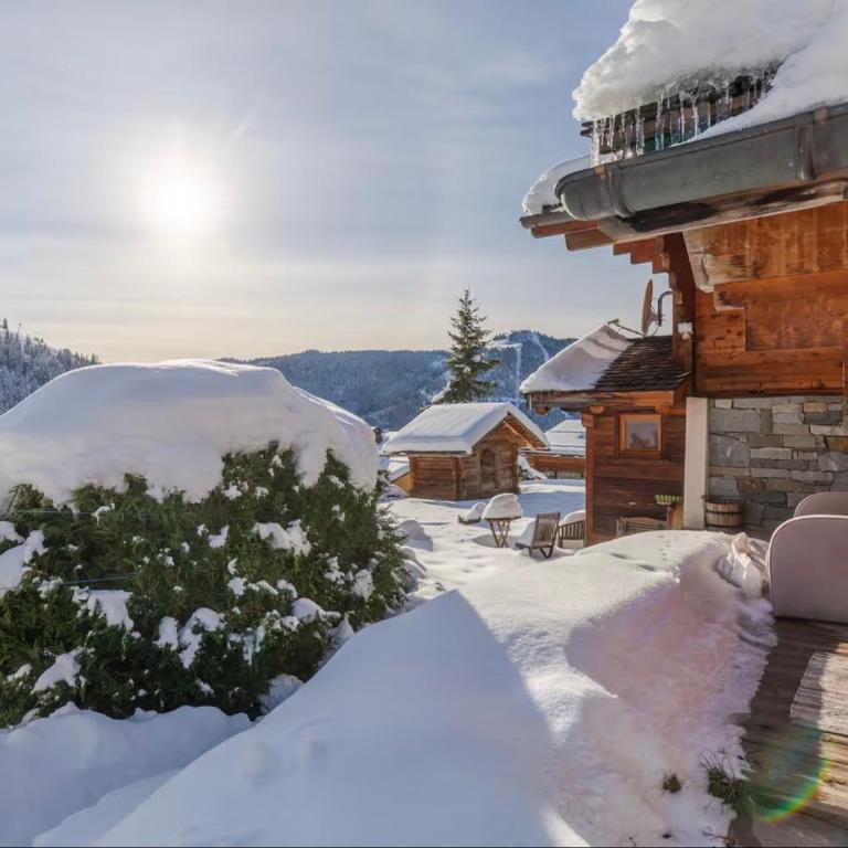 Chalet Coelacanthe - Chalet Superior - 13