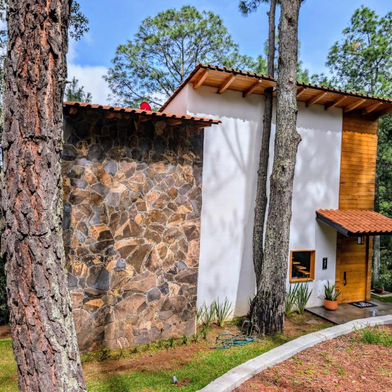 Cabaña La Finca Mazamitla - Chalet de 3 dormitorios - 2