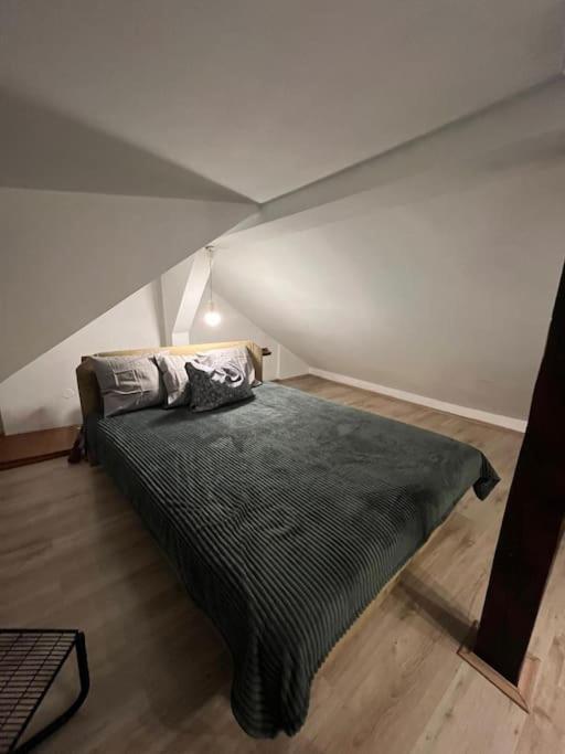 Potkrovlje Riki u centru Beograda - Apartman sa 2 Spavaće Sobe - 7