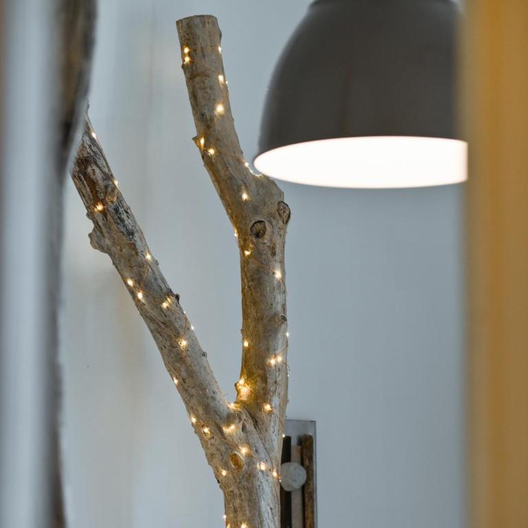 Amicasa - Two-Bedroom Apartment - 24