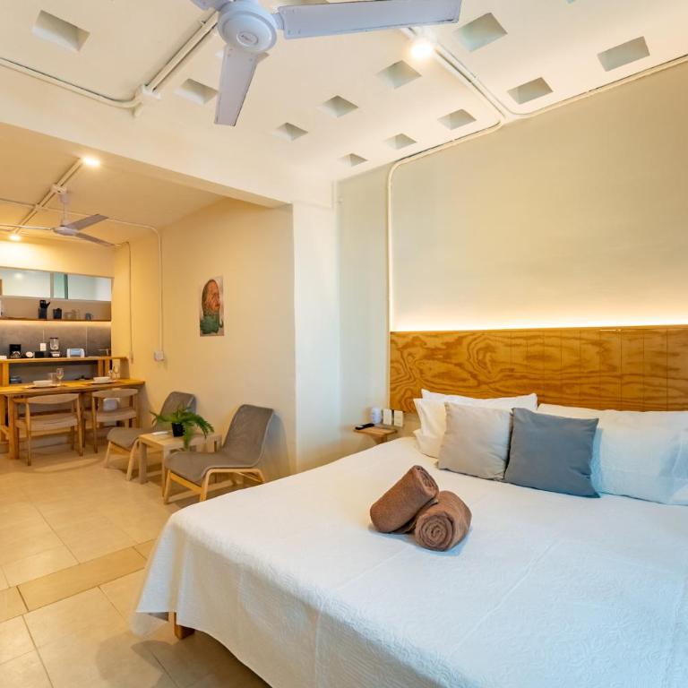 Casa Jicama - Estudio con cama extragrande - 20