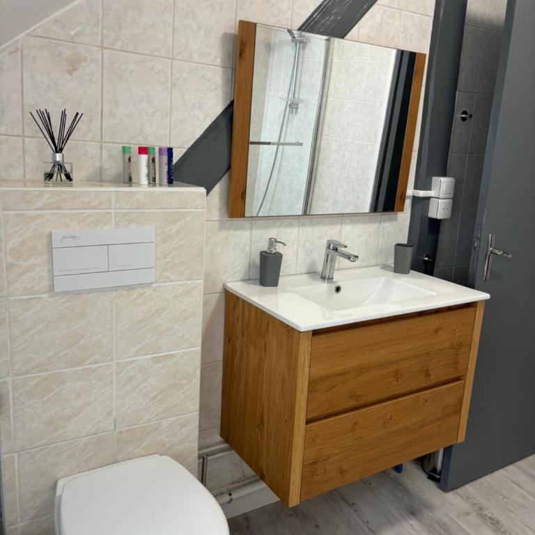 La Mulhousienne F3 Centre ville - Apartamento de 2 dormitorios - 16