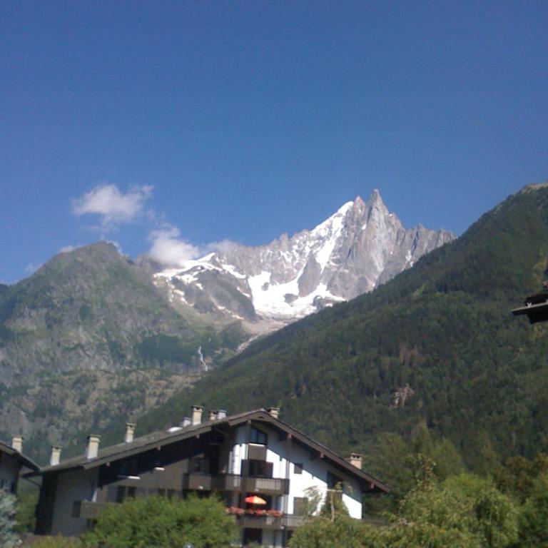 Studio confortable rénové en résidence verdoyante à Chamonix - FR-1-517-69 - Estudio - 2