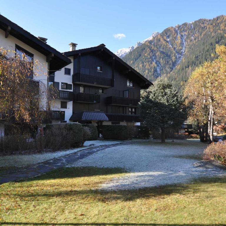 Studio confortable rénové en résidence verdoyante à Chamonix - FR-1-517-69 - Estudio - 4