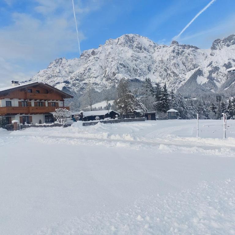 Ferienhaus Scheiber - Appartement 1 Chambre - 7