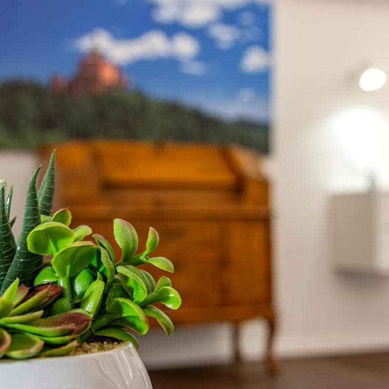 Righi Suite Apartment - Appartamento Superior con 1 Camera da Letto - 28