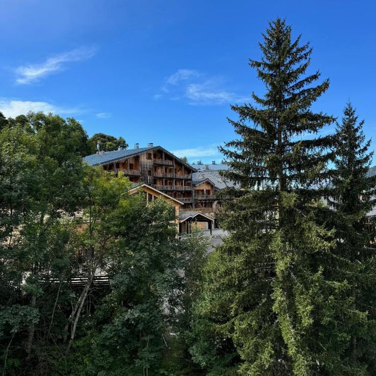 Bel appartement au dernier étage - Megève - Appartement 2 Chambres - 24