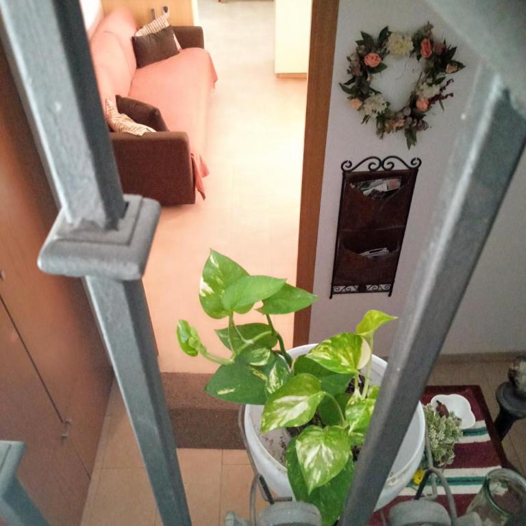 Apartamento San Agustín - Apartamento - 35